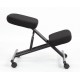 Ergo Line Metal Posture Kneeling Chair